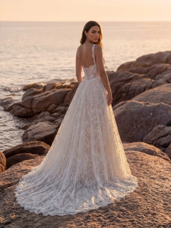 Pronovias Exyvor #2 backface vertical thumbnail