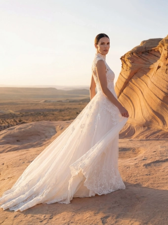 Pronovias Feelps #3 vertical thumbnail