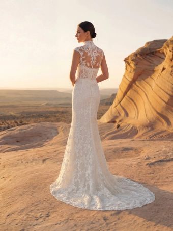 Pronovias Feelps #5 default backface vertical thumbnail