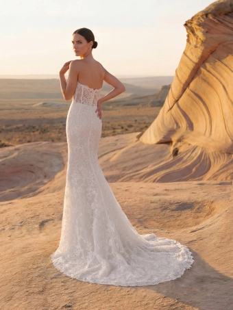 Pronovias Feelps #4 backface vertical thumbnail