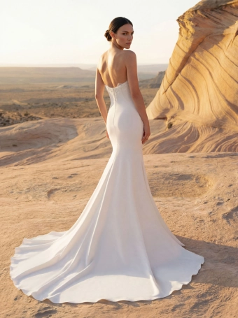 Pronovias Felvion #2 backface vertical thumbnail