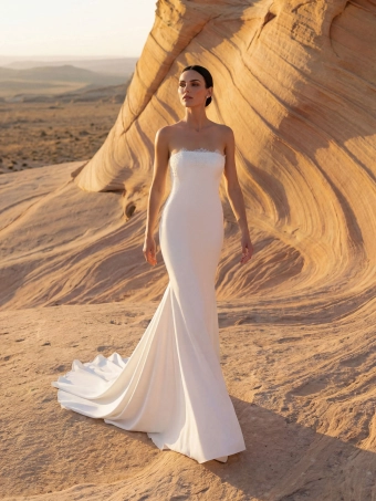 Pronovias Felvion #0 default frontface vertical thumbnail