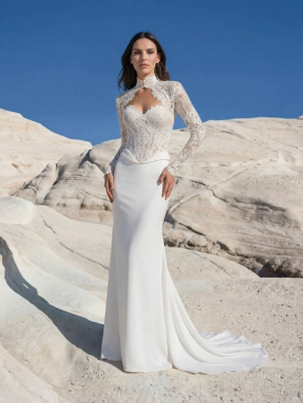 Pronovias Gotty #0 default frontface vertical thumbnail