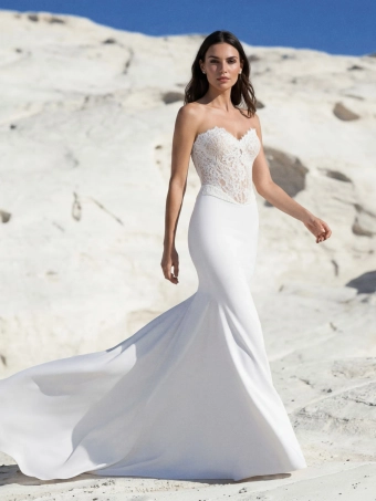 Pronovias Gotty #1 frontface vertical thumbnail