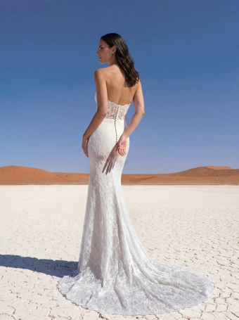Pronovias Imfa #3 backface vertical thumbnail
