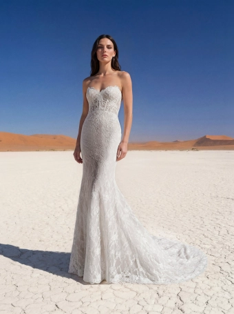 Pronovias Imfa #1 frontface vertical thumbnail