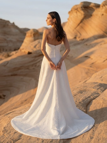 Pronovias Immis #3 backface vertical thumbnail