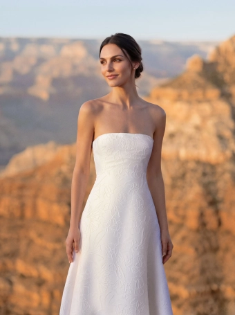 Pronovias Immis #4 frontface vertical cropped thumbnail