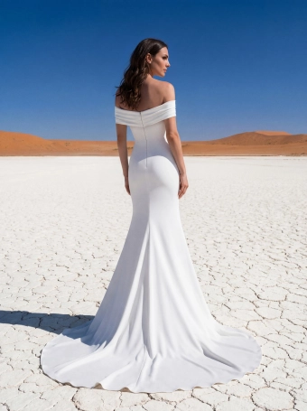Pronovias Irela #3 backface vertical thumbnail