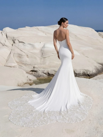 Pronovias Jonely #4 backface vertical thumbnail