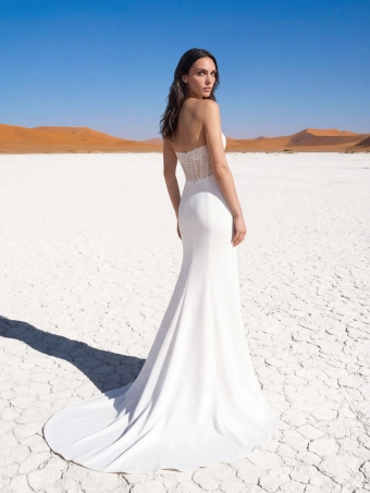 Pronovias Luchy #4 backface vertical thumbnail