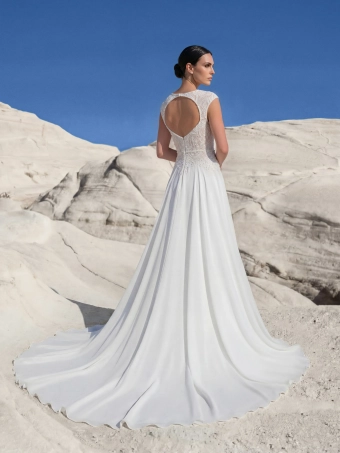 Pronovias Lynelia #1 default backface vertical thumbnail