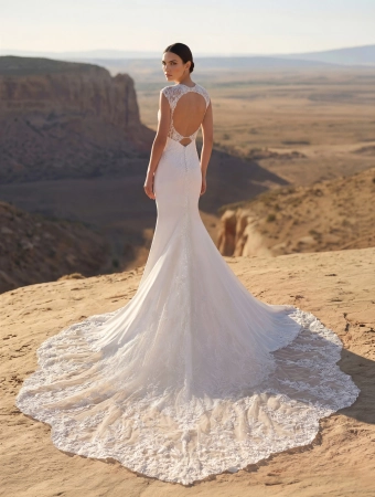 Pronovias Lynora #1 default backface vertical thumbnail