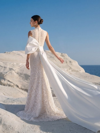 Pronovias Lyrea #3 backface vertical thumbnail