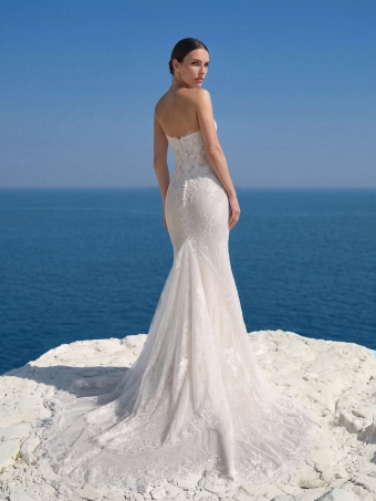 Pronovias Myane #2 backface vertical thumbnail