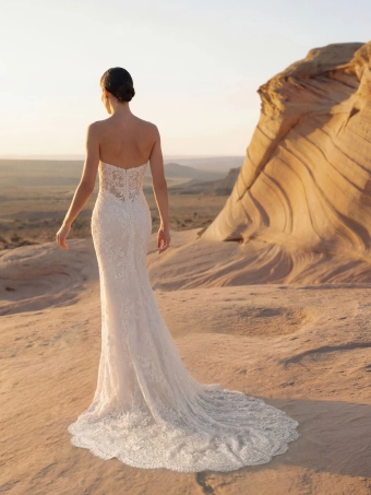 Pronovias Rewy #3 backface vertical thumbnail