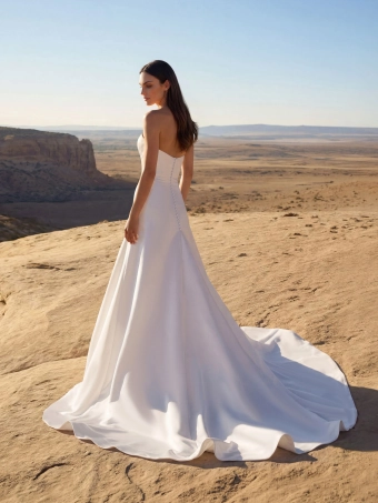 Pronovias Rihaya #1 default backface vertical thumbnail
