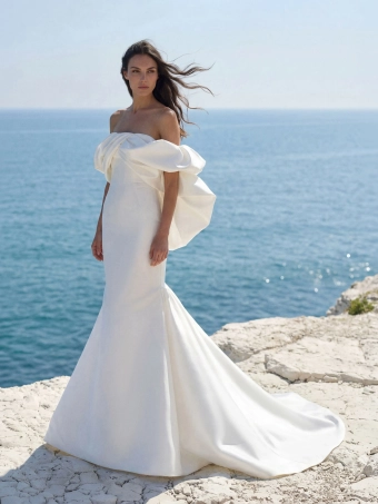 Pronovias Rokeya #1 frontface vertical thumbnail