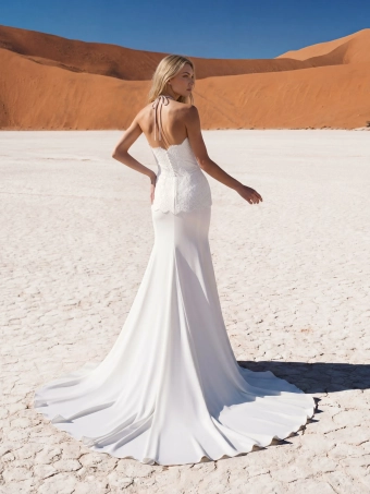Pronovias Straly #1 default backface vertical thumbnail