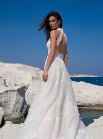 Pronovias Wunmi #2 backface vertical cropped thumbnail