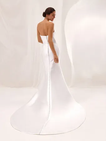 Pronovias Aradite #1 backface vertical thumbnail