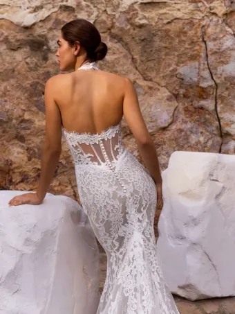 Pronovias Wonia #1 backface vertical cropped thumbnail