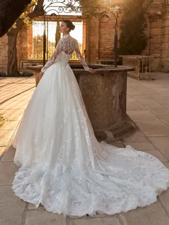 Pronovias Zarland #2 default backface vertical thumbnail