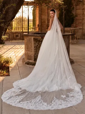 Pronovias Zarland #1 backface vertical thumbnail
