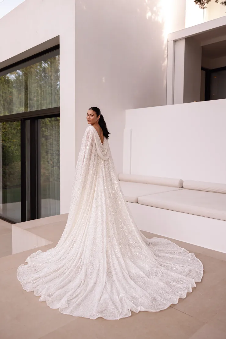 Demetrios Platinum  DP558