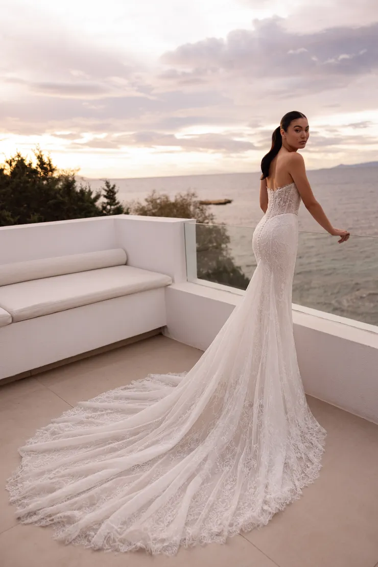 Demetrios Platinum  DP560