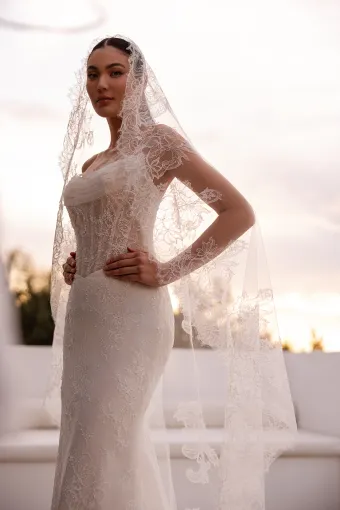 Demetrios Platinum Style: DP560 #2 frontface vertical cropped thumbnail