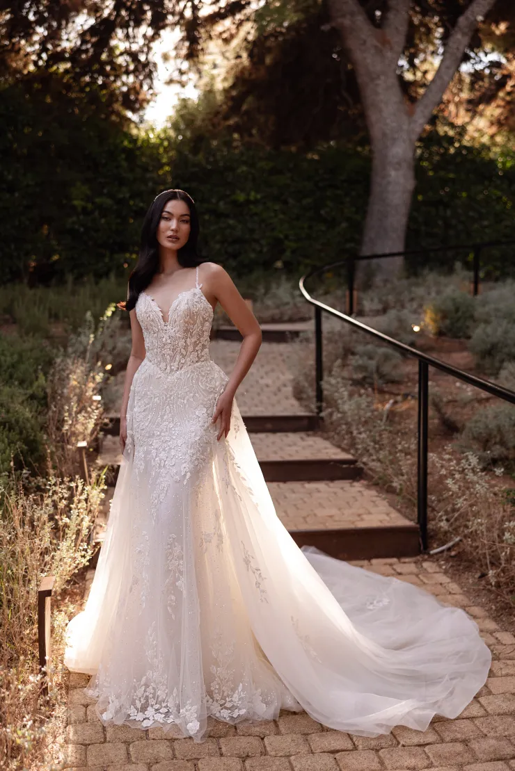 Demetrios Platinum  DP563