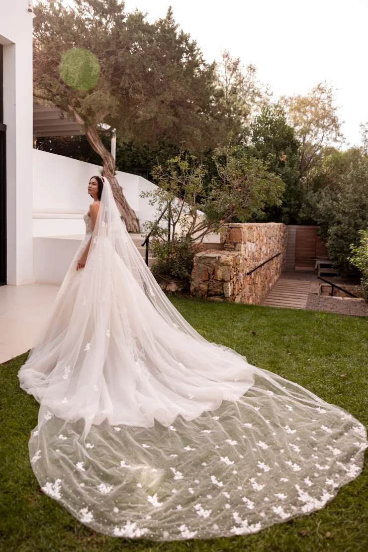 Demetrios Platinum  DP567