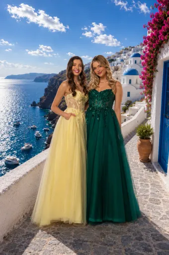 Monsini Prom 60021 #1 frontface vertical thumbnail