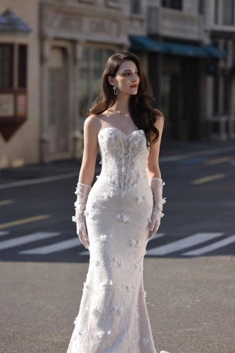 Happily Ever After Bridal Collection 3818 #0 default frontface vertical cropped thumbnail