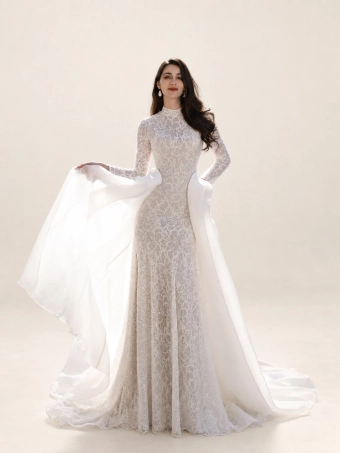 Happily Ever After Bridal Collection 3843 #1 frontface vertical thumbnail
