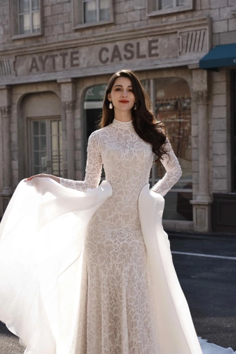 Happily Ever After Bridal Collection 3843 #0 default frontface vertical cropped thumbnail