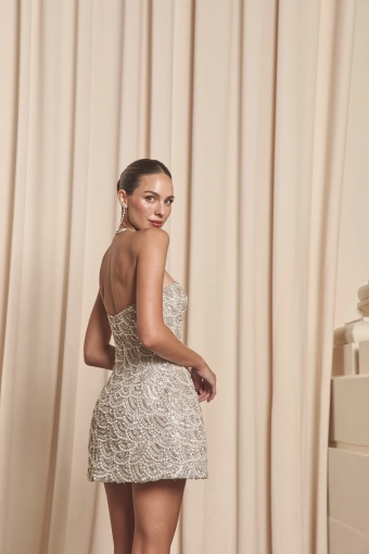 Jane Hill Style #Soiree #14 backface vertical cropped thumbnail