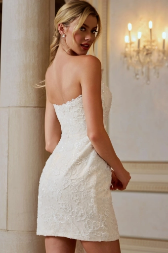 Jovani Style #45260 #2 backface vertical cropped thumbnail
