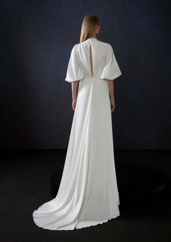 Atelier Pronovias  Condes #2 backface vertical thumbnail