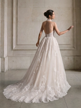Privee by Pronovias  Calyxor #1 backface vertical thumbnail