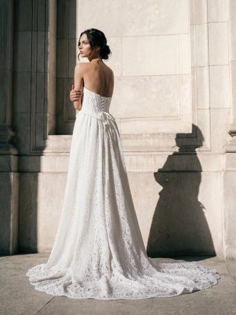 Privee by Pronovias  Deview #2 backface vertical thumbnail