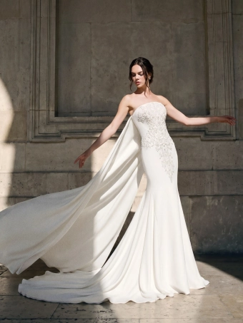 Privee by Pronovias  Elariel #1 frontface vertical thumbnail