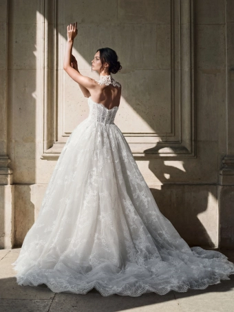 Privee by Pronovias  Eliare #2 backface vertical thumbnail