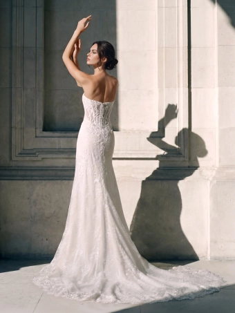 Privee by Pronovias  Elyrael #1 backface vertical thumbnail