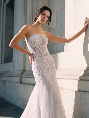 Privee by Pronovias  Elyrael #3 frontface vertical cropped thumbnail