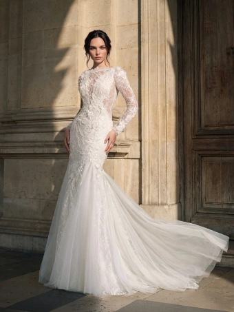 Privee by Pronovias  Ixaron #0 default frontface vertical thumbnail