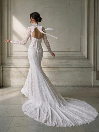 Privee by Pronovias  Oxiran #2 default backface vertical thumbnail