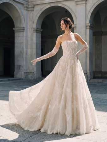 Privee by Pronovias  Velinea #0 frontface vertical thumbnail