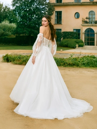 White One  Amphissa #1 default backface vertical thumbnail